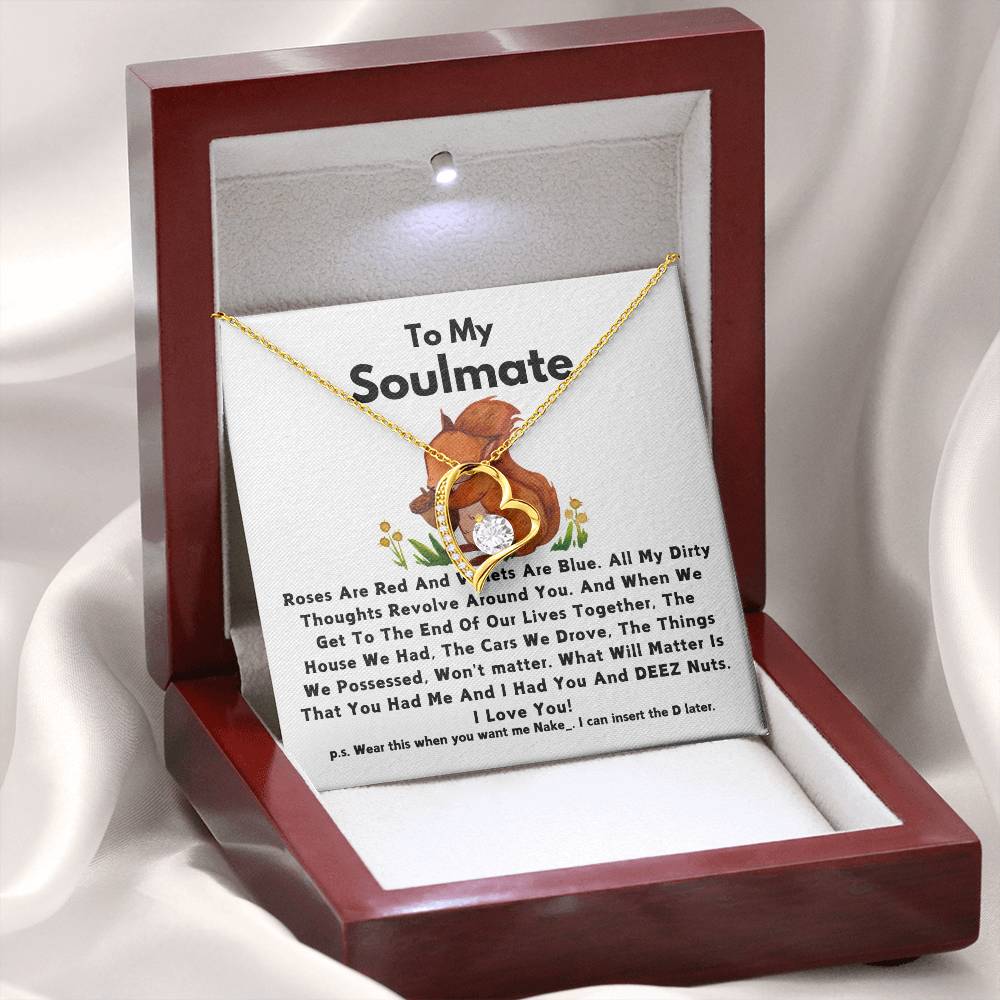 To My Soulmate - My Heart -Squirrel