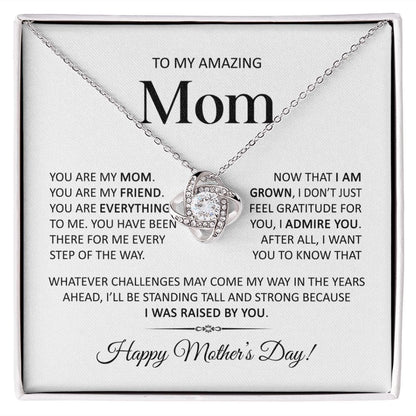 To my Amazing Mom