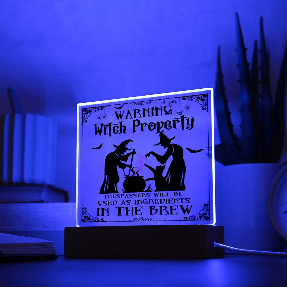 Halloween Collection - Witch Property Acrylic Plaque
