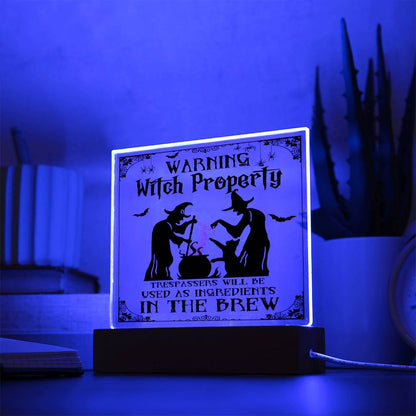 Halloween Collection - Witch Property Acrylic Plaque